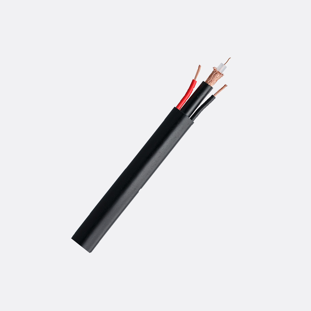 CCE59275