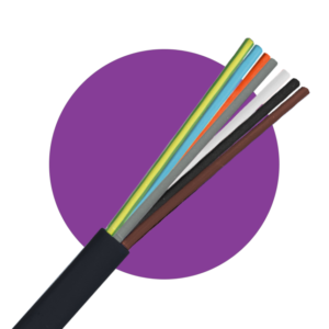 Multicore Flexible